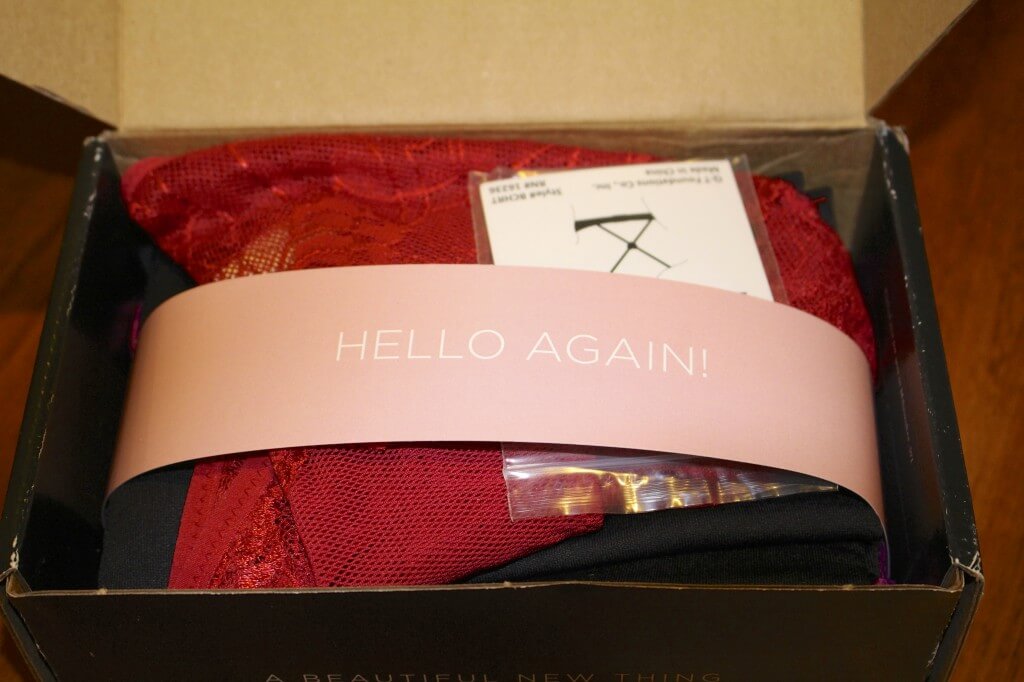 Wantable Intimates Subscription Box Review – February 2014