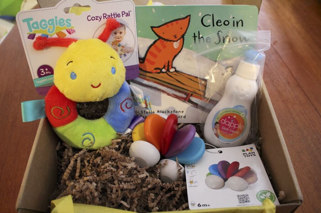 Citrus Lane Newborn Baby Subscription Box Review + $20 Coupon!