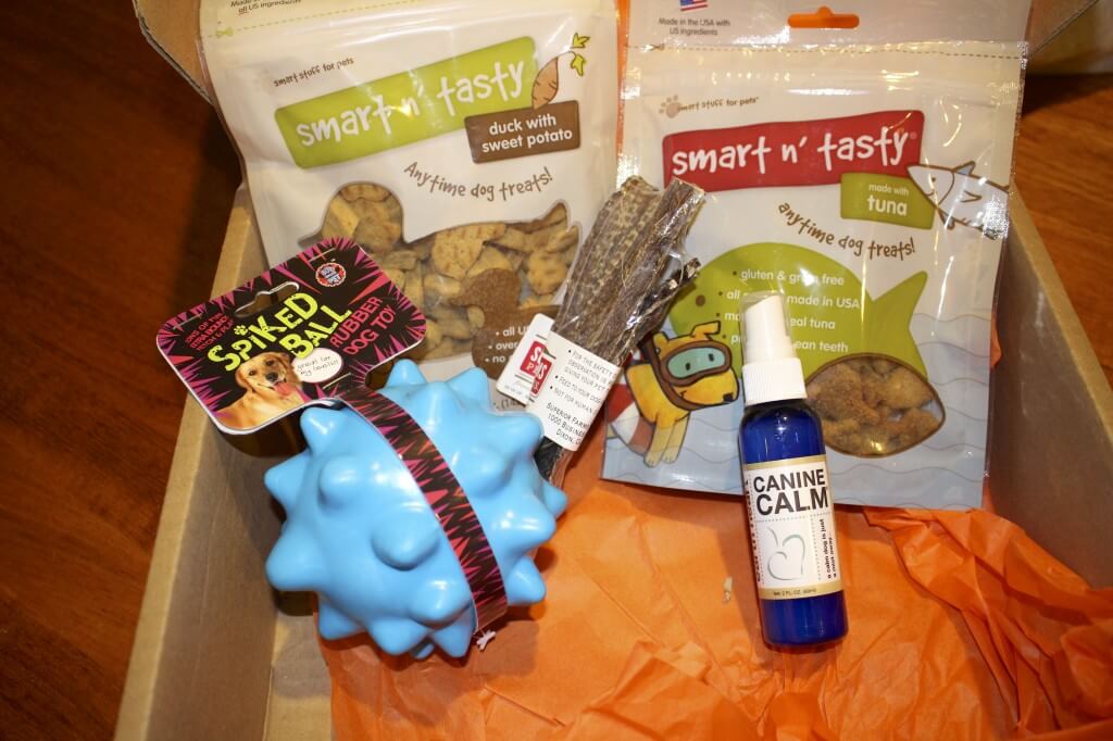 February 2014 Bugsy's Box