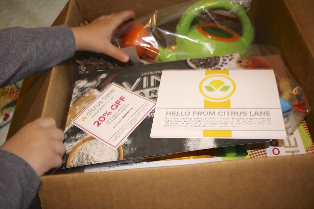 May Citrus Lane Review + Coupon for your first box for $9!