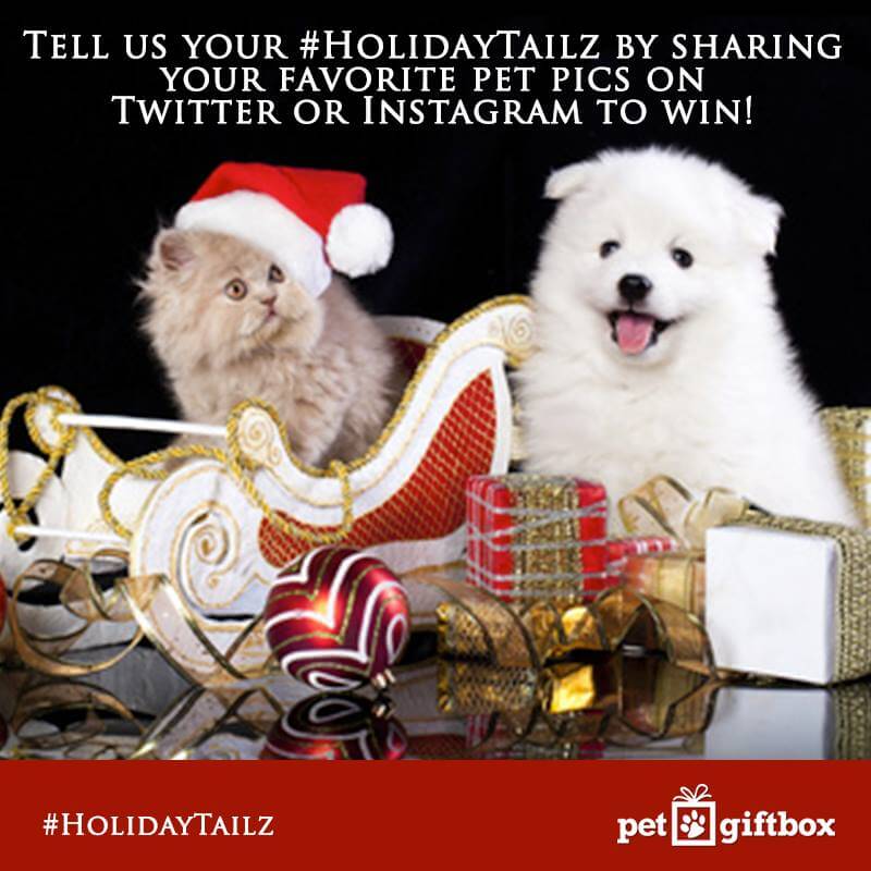 holdaytailz