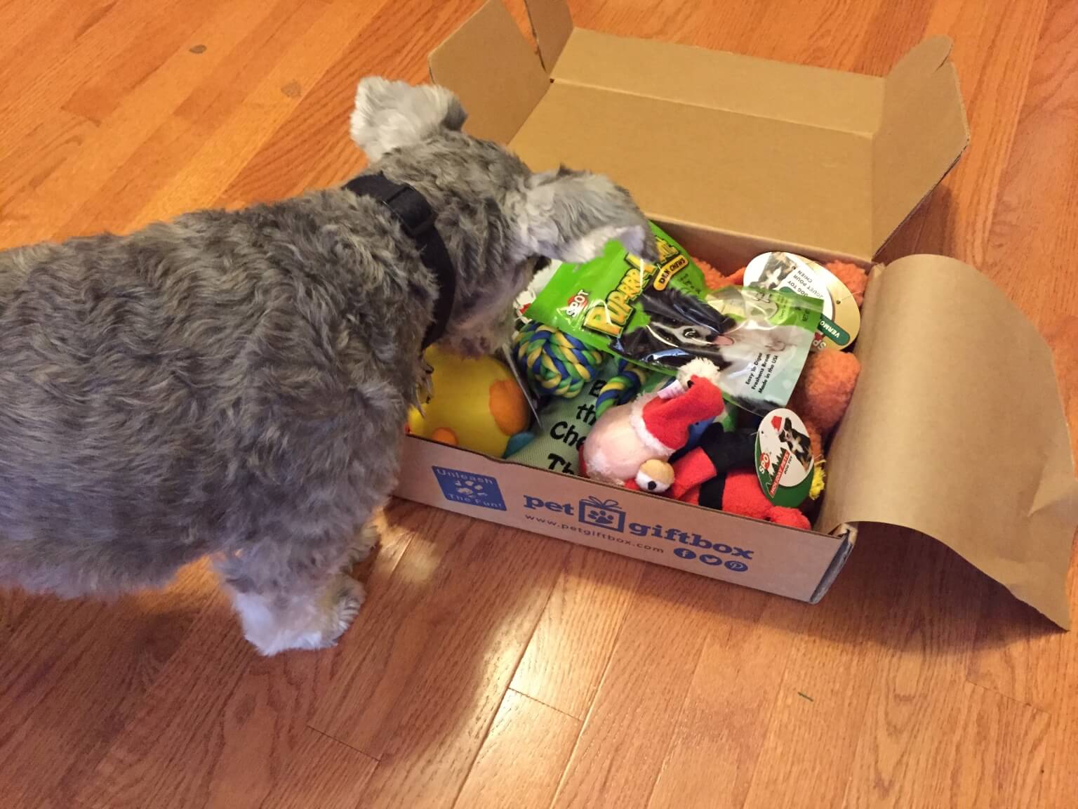 PetGiftBox Review + #HolidayTailz Free Box Contest