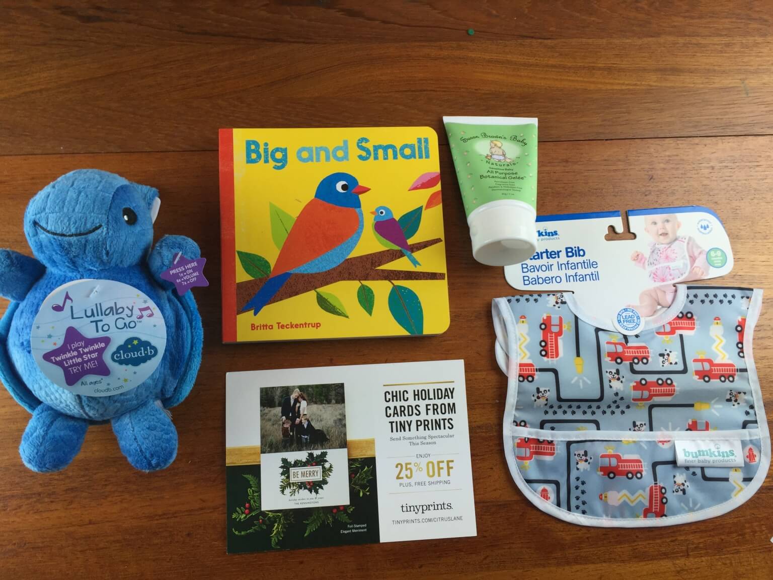 November 2014 Citrus Lane Review & Coupon – 2 Month Old Baby Boy