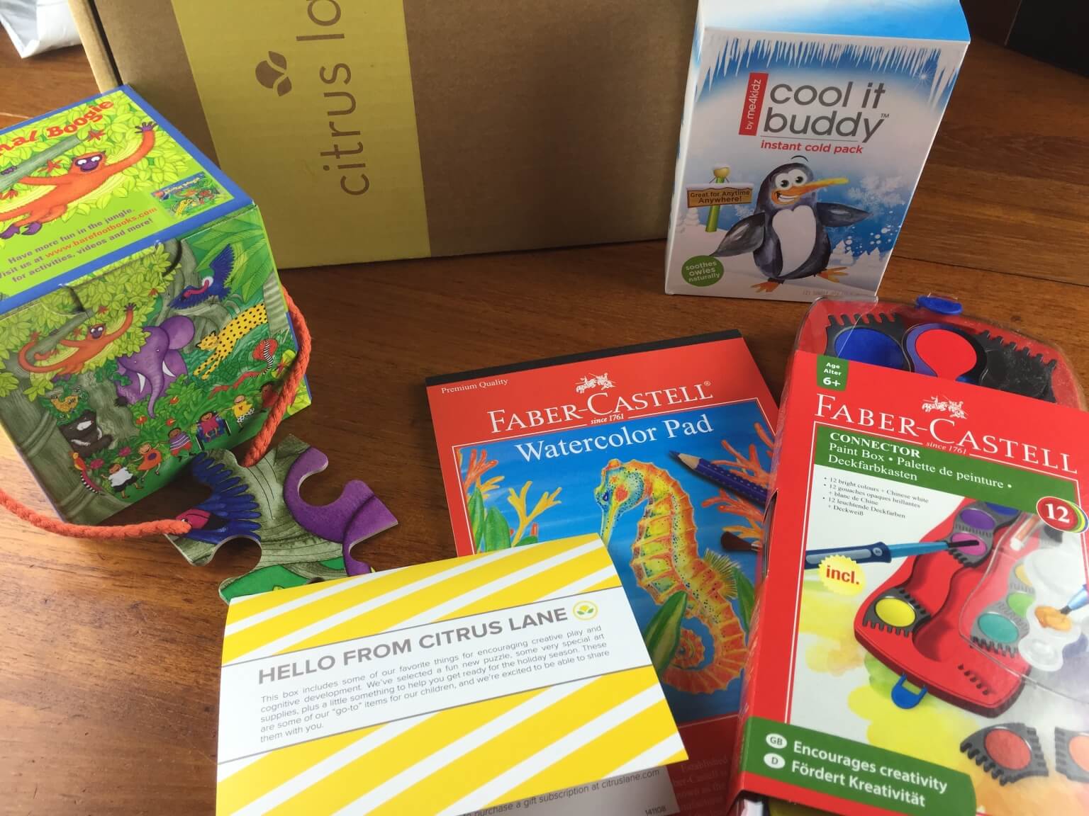 November 2014 Citrus Lane Review & FREE Bonus + 40% Off Coupon – 5 year old Girl