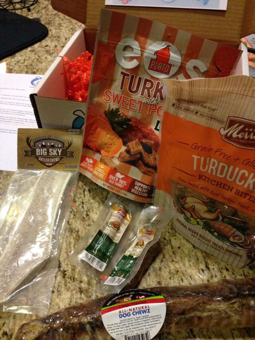 True Drool Box Review + $5 Coupon – Subscription Box for Big Dogs!