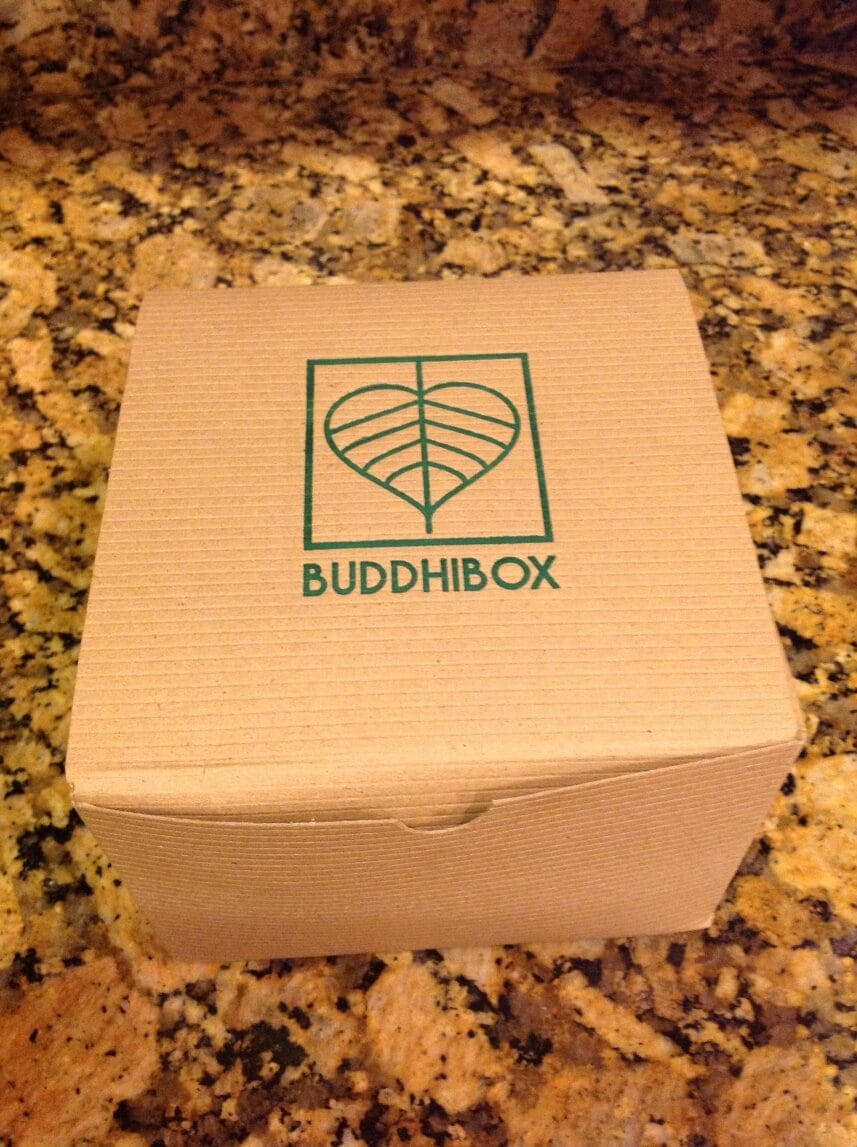 January 2015 BuddhiBox Review + Coupon – Yoga Subscription Box