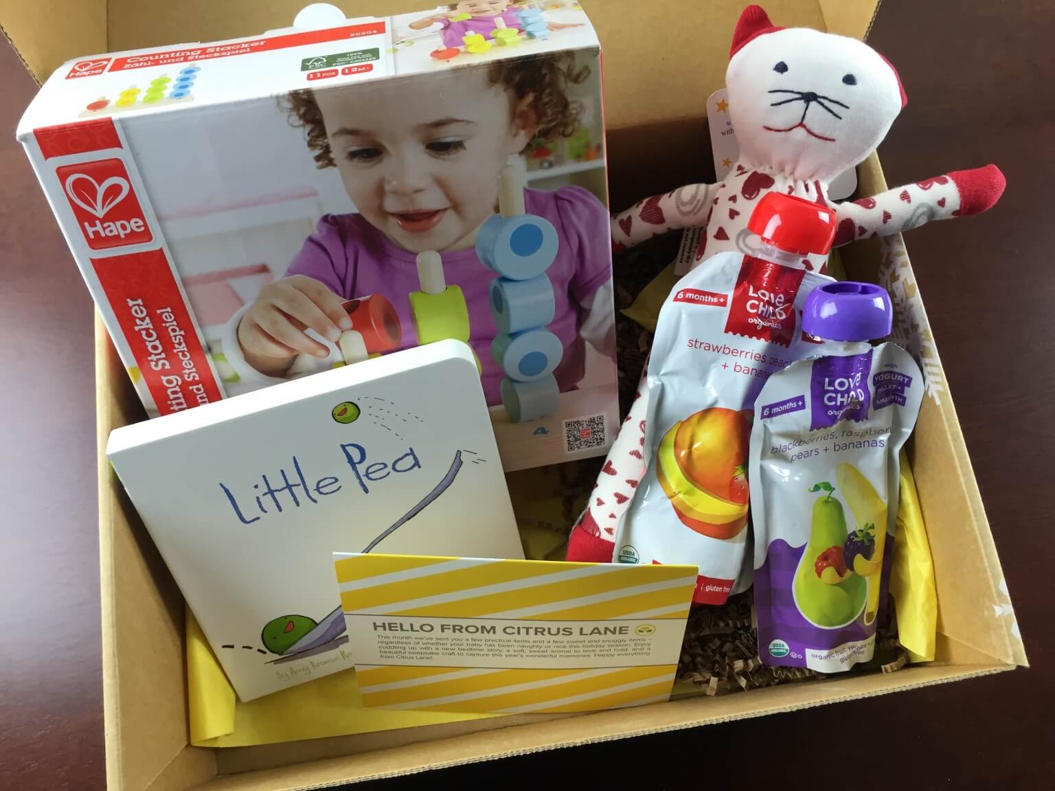 December 2014 Citrus Lane Review & Coupons – 1 year 4.5 months Girl