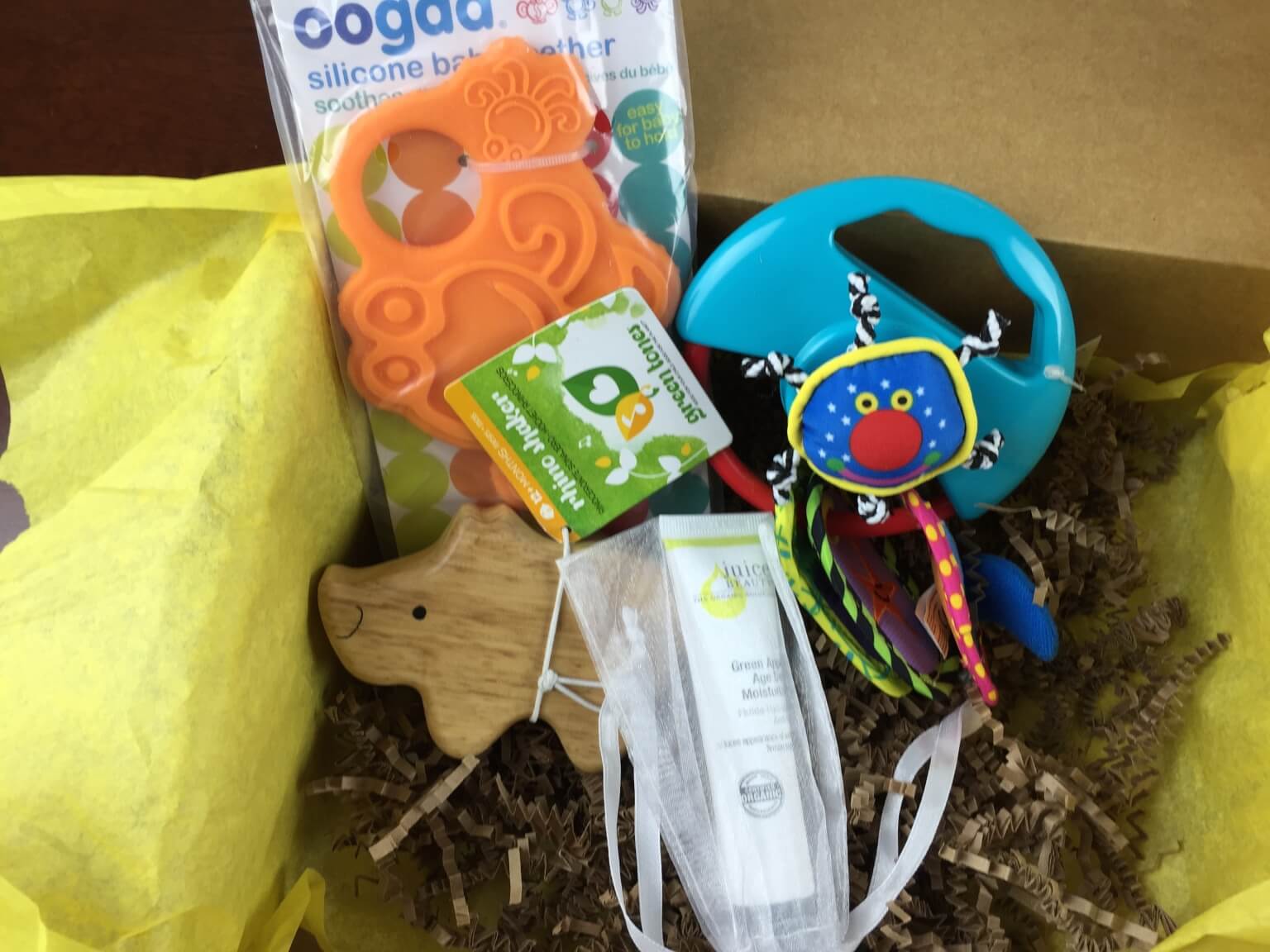 February 2015 Citrus Lane Review & Coupon – 5 Month Old Boy