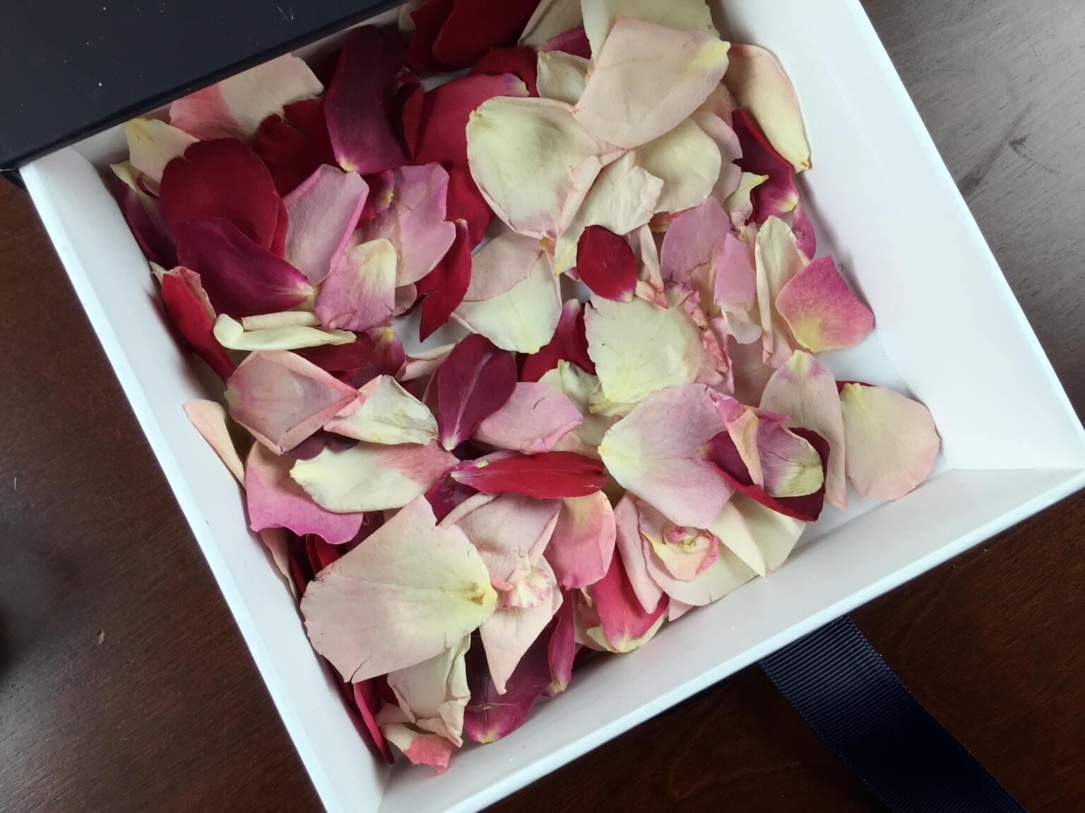 [Enclosed] Luxury Panties Review – February 2015