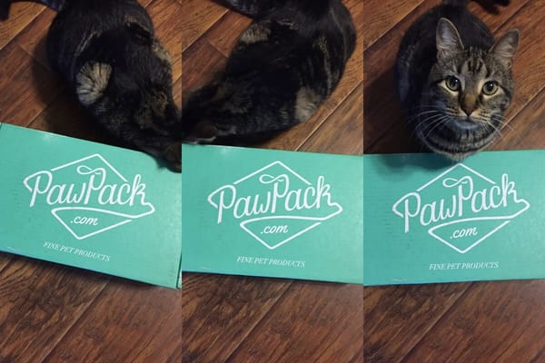 pawpack cats review