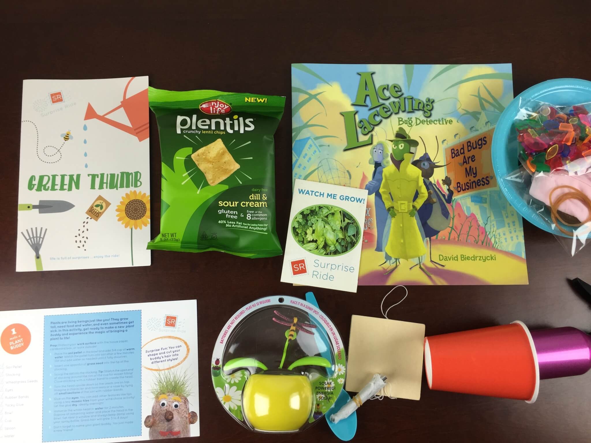Surprise Ride Review + Coupon – Kids Subscription Box