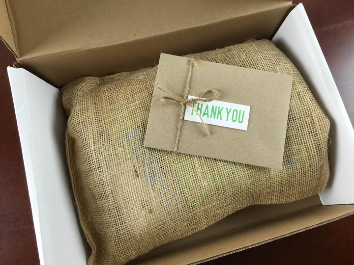 snack sack june 2015 review first look