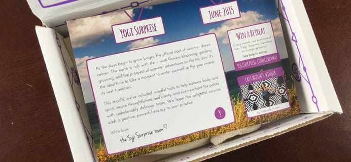 Yogi Surprise Jewelry Subscription Box Review & Coupon – June 2015