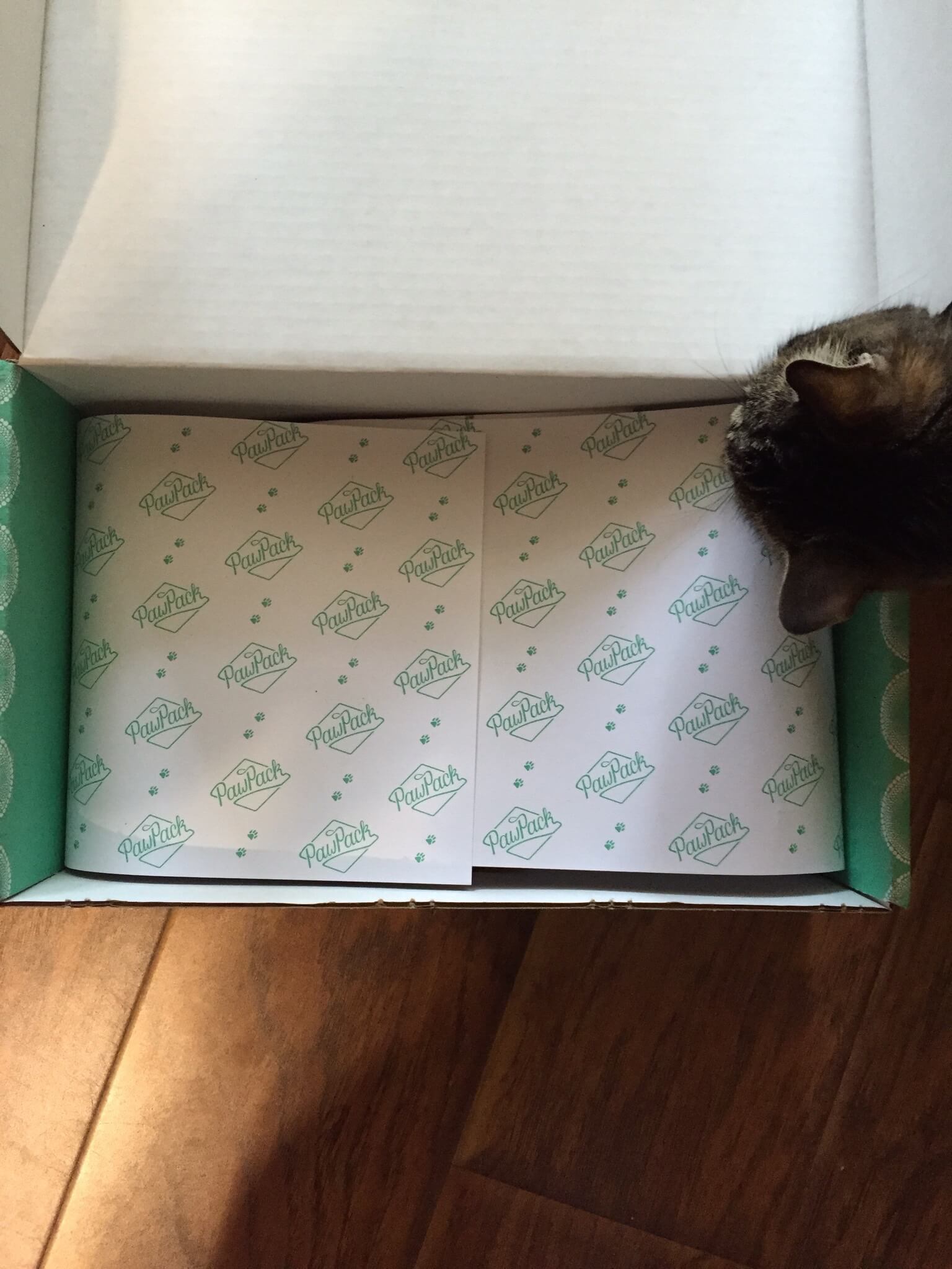 April 2015 PawPack Cat Subscription Box Review & Coupon