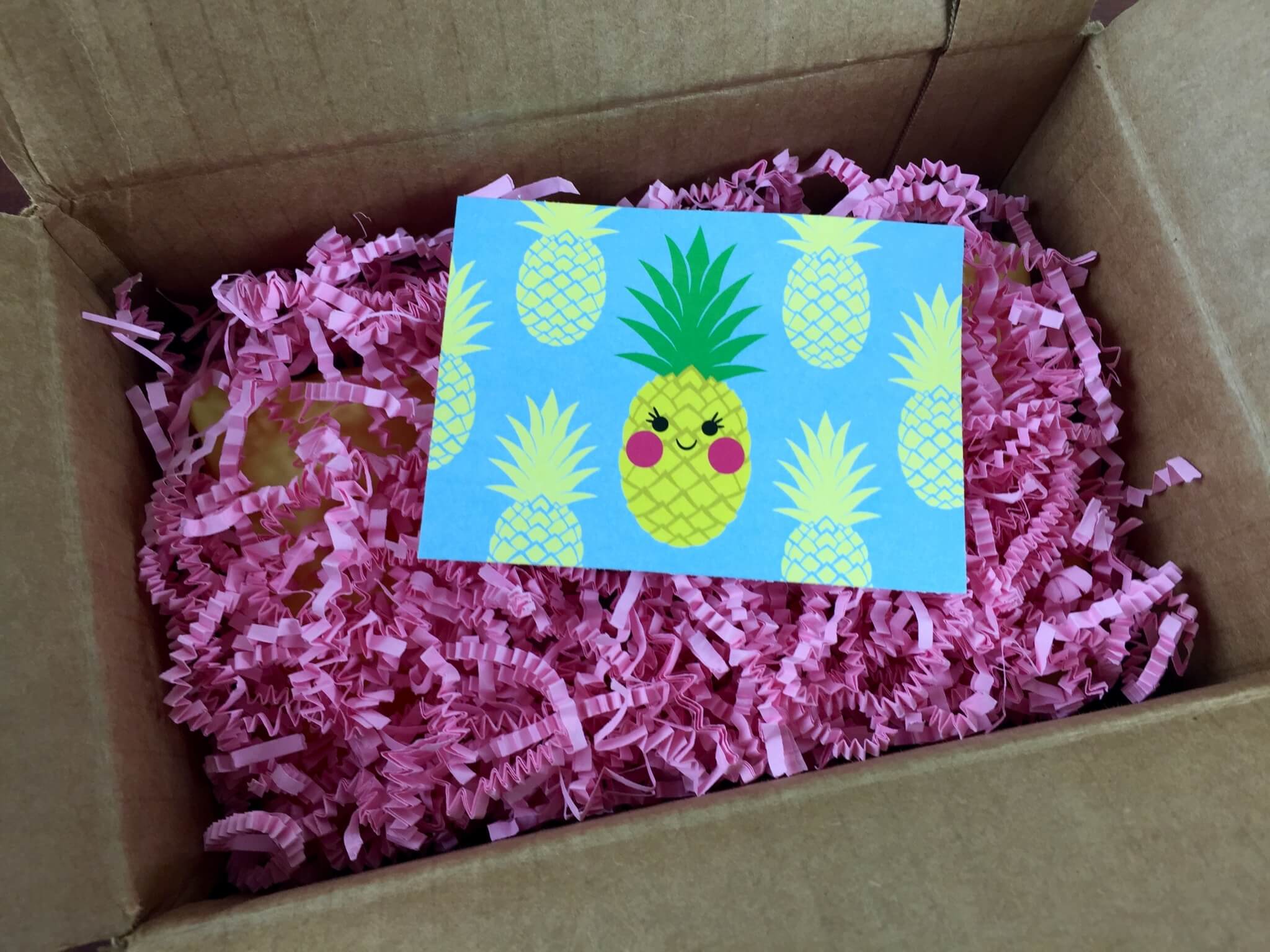 my craft in a box july 2015 unboxing