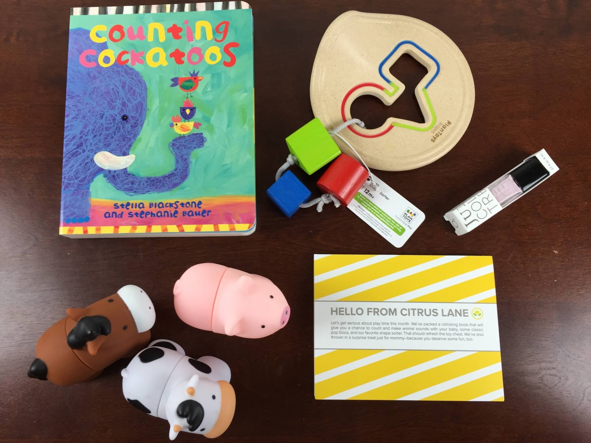 July 2015 Citrus Lane Review & Coupon
