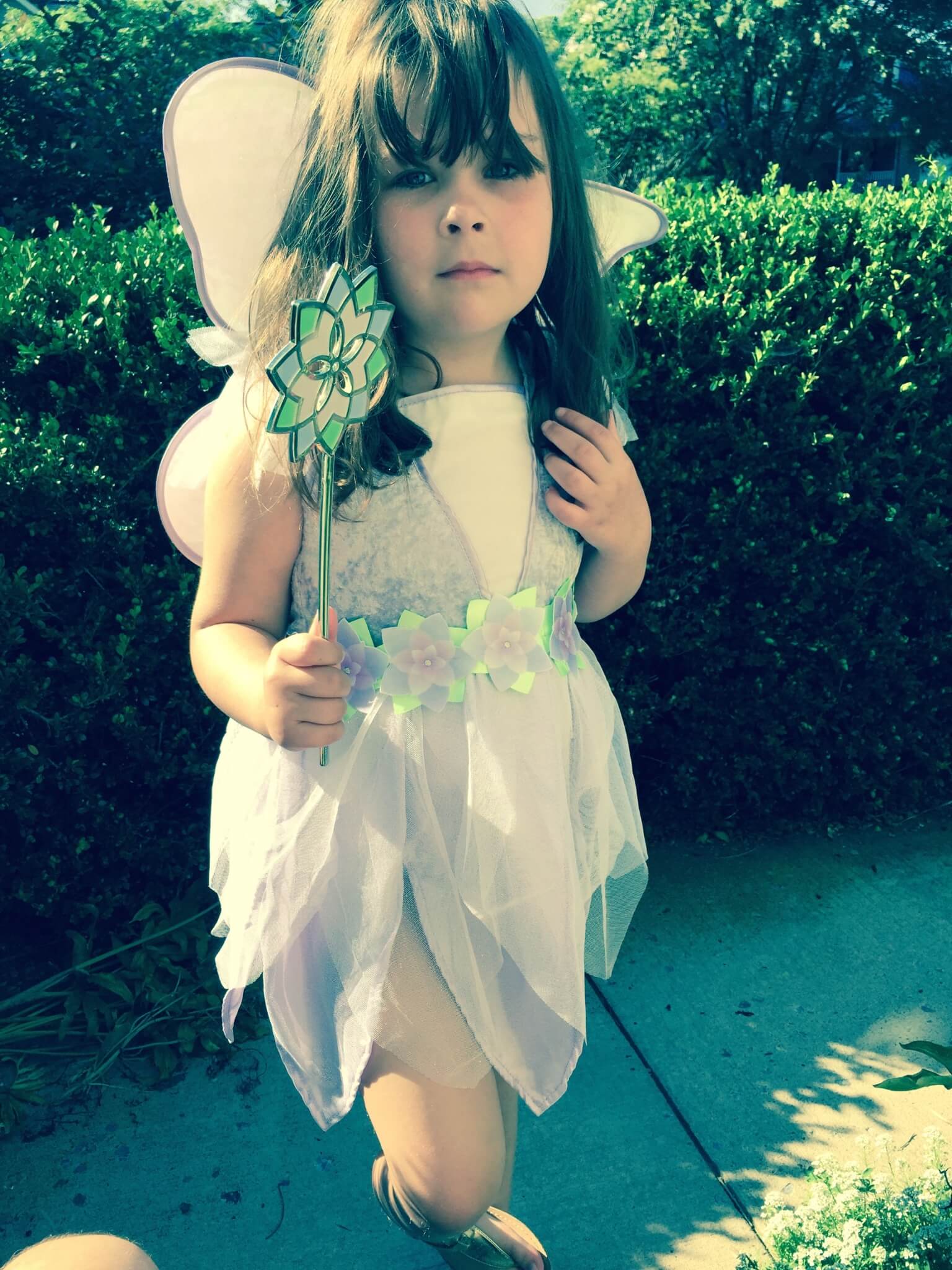 pretend place dress up fairy box july 2015 IMG_2430