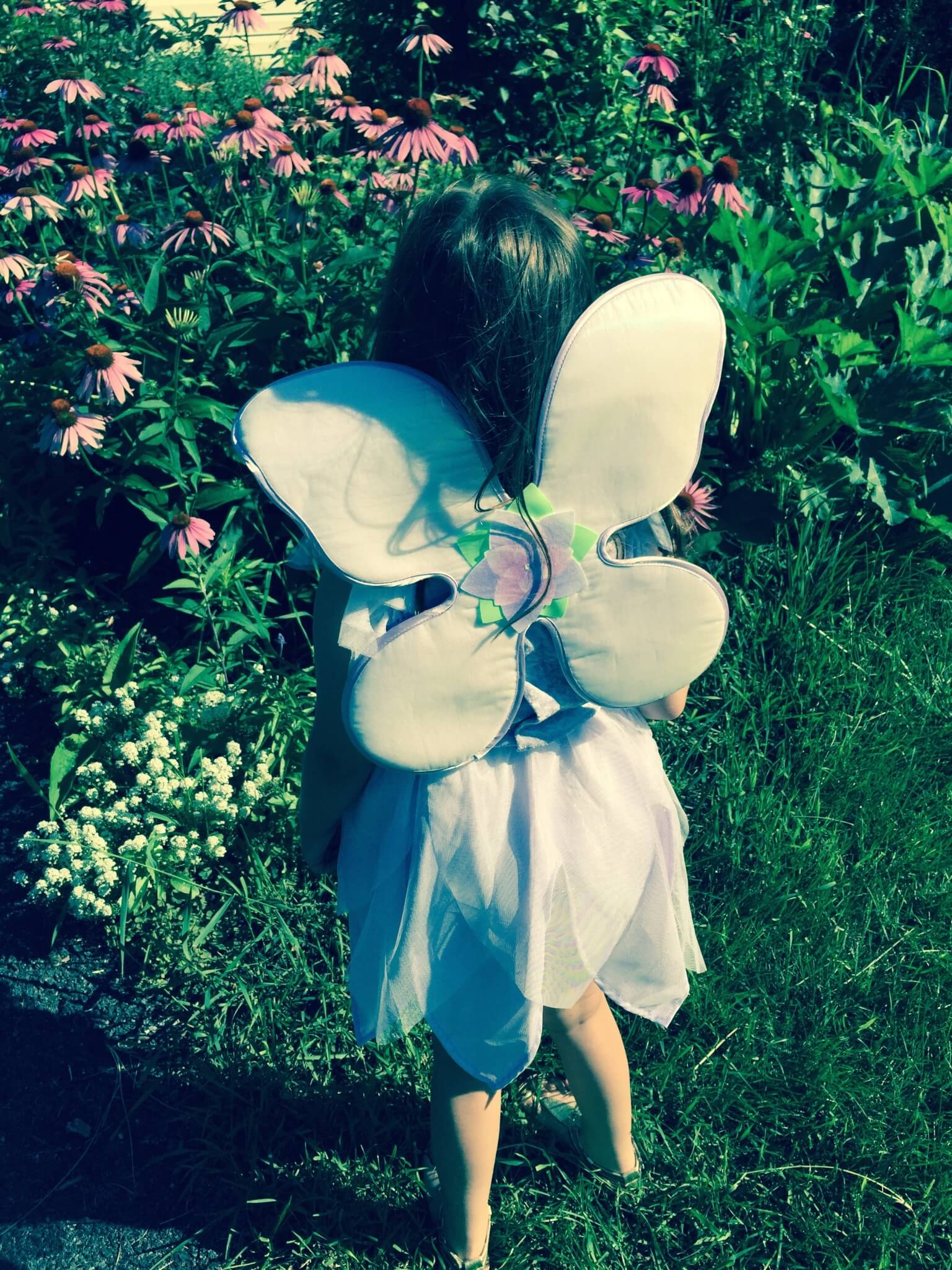 pretend place dress up fairy box july 2015 IMG_2416