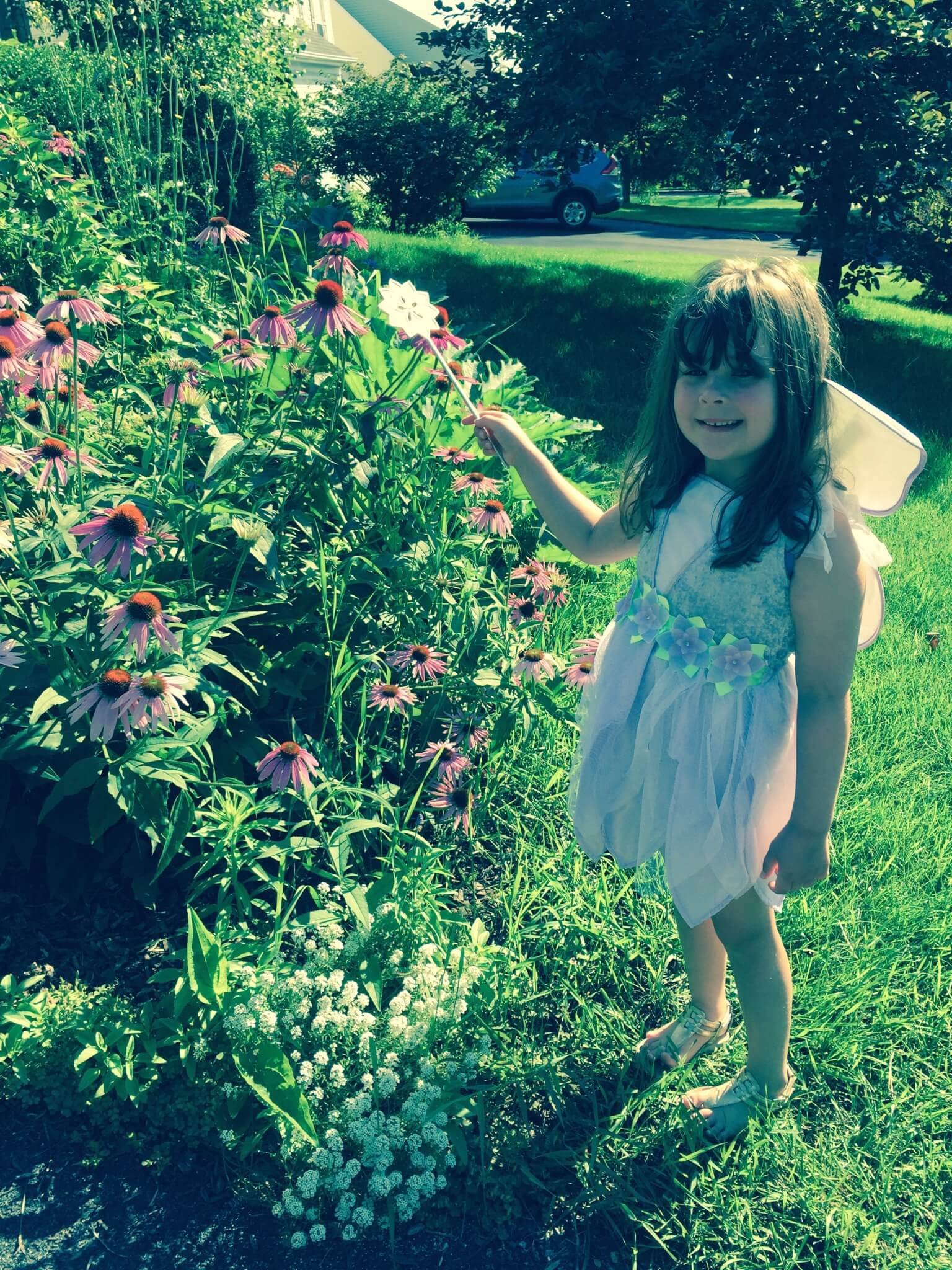 pretend place dress up fairy box july 2015 IMG_2415