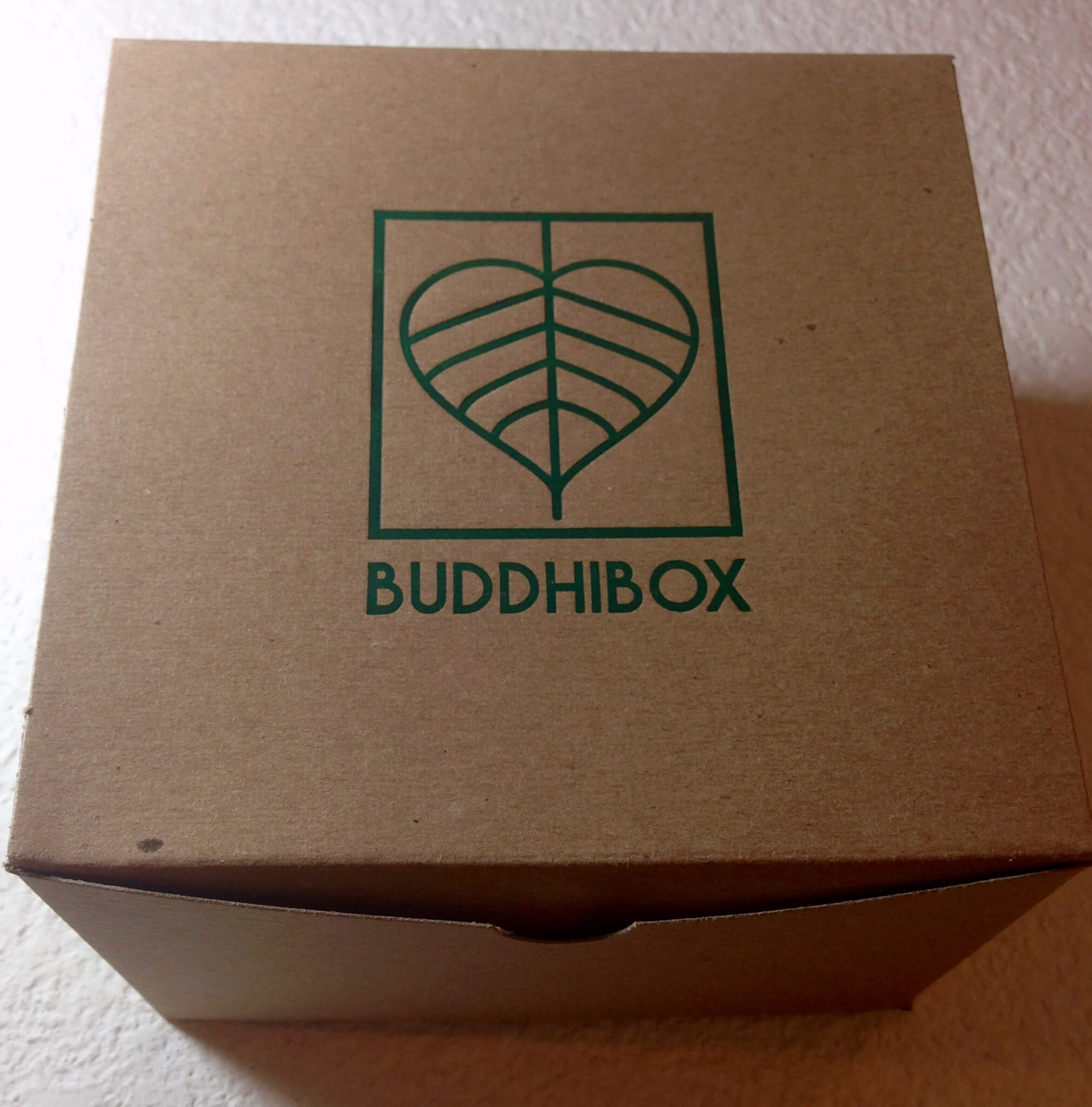 BuddhiBox Yoga Subscription Box Review + Coupon – June 2015