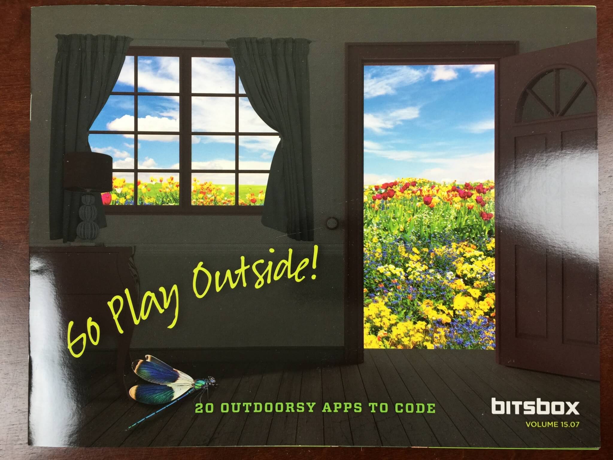 bitsbox august 2015 IMG_7469