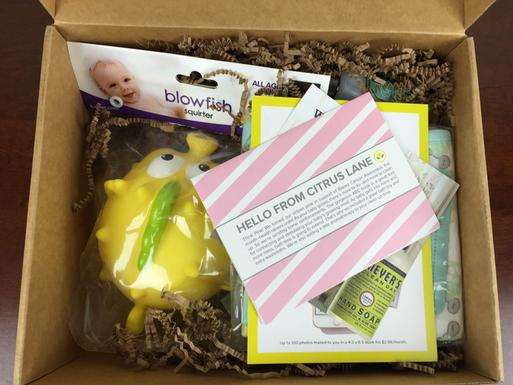 citrus lane baby october 2015 unboxing