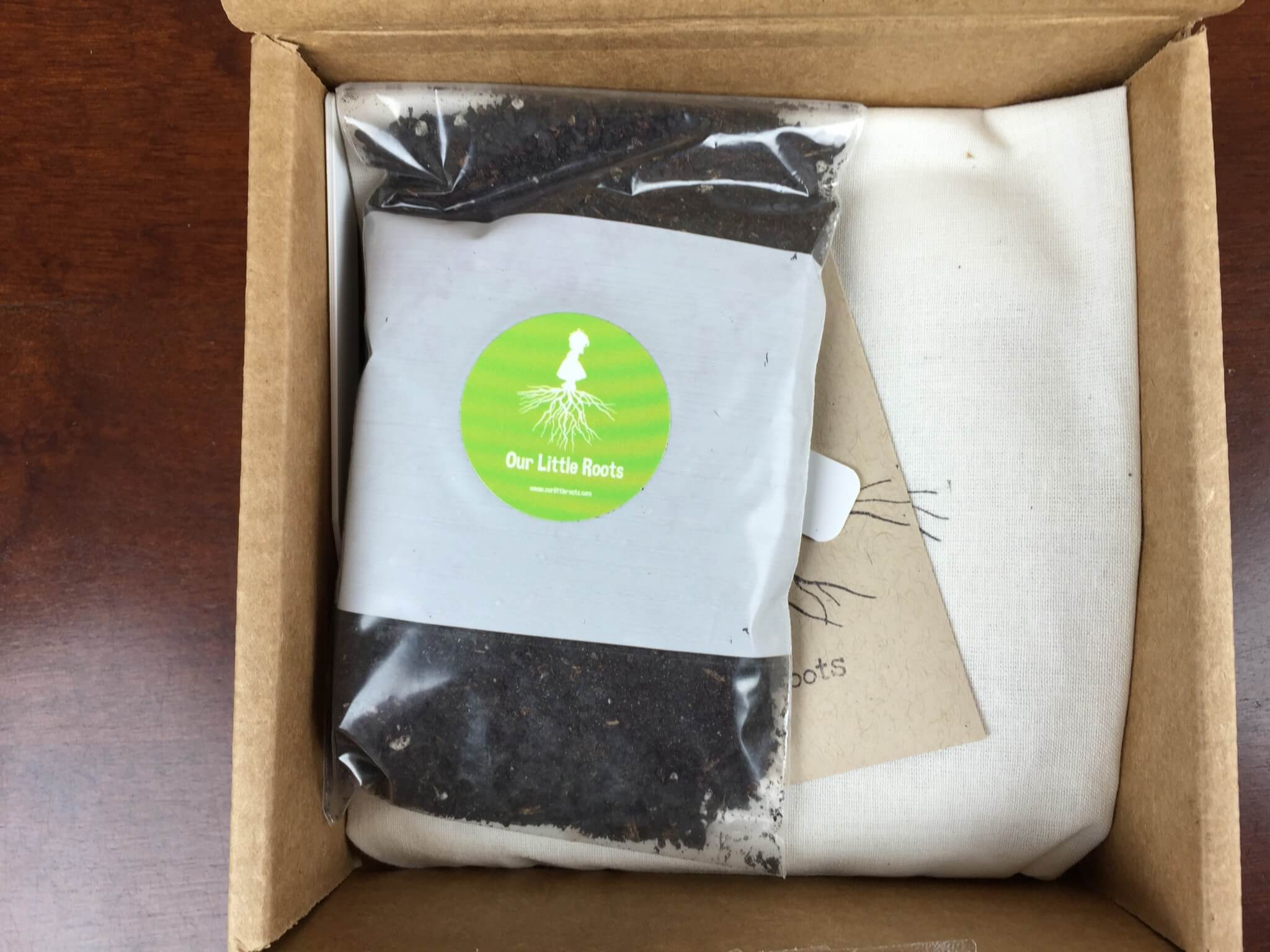 Our Little Roots Subscription Box Review & Coupon – September 2015