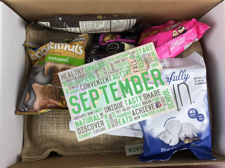 snack sack september 2015 unboxing