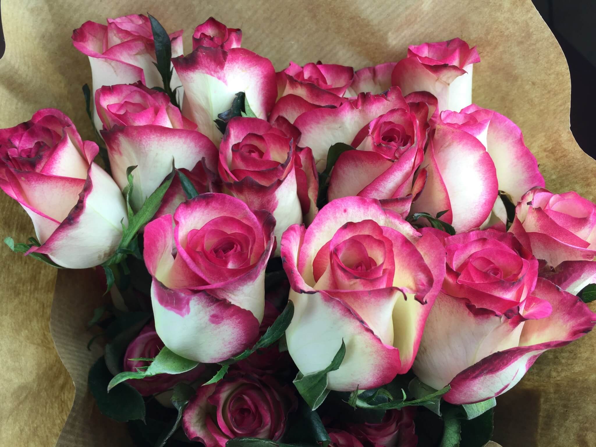 BloomsyBox Flower Subscription Box Review & Coupon