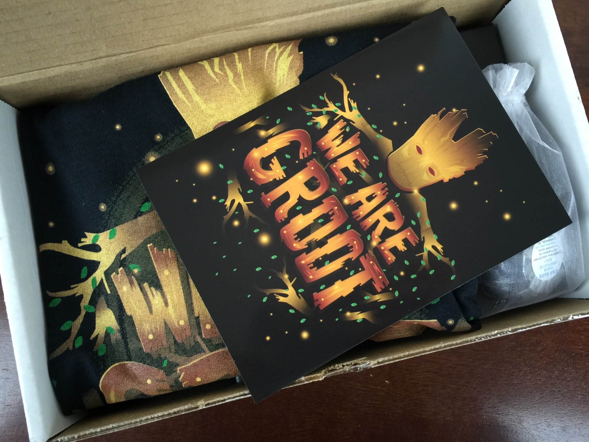 FanMail November 2015 Subscription Box Review & Coupon Codes