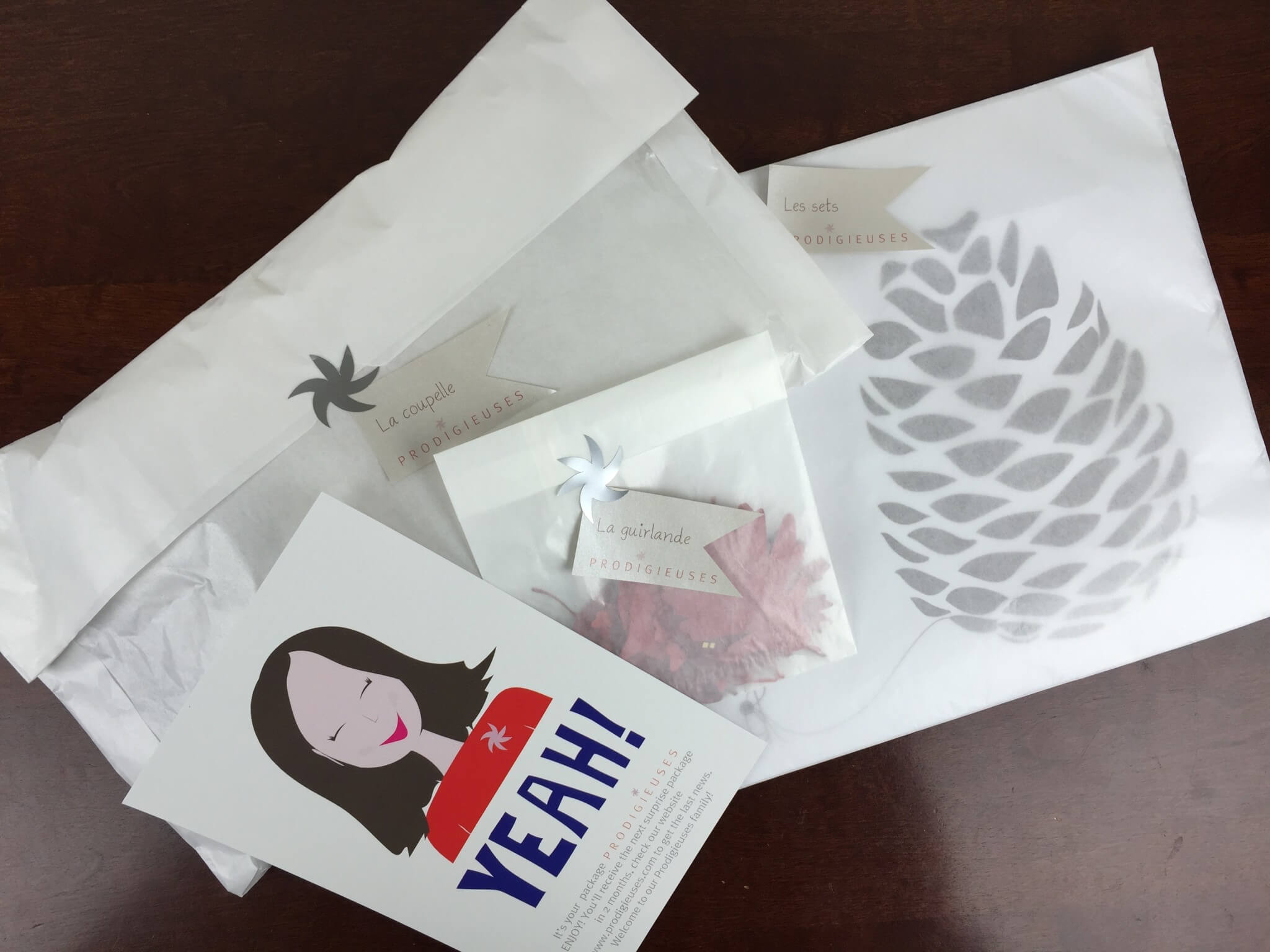 Prodigieuses French Designer Subscription Box Review – November 2015