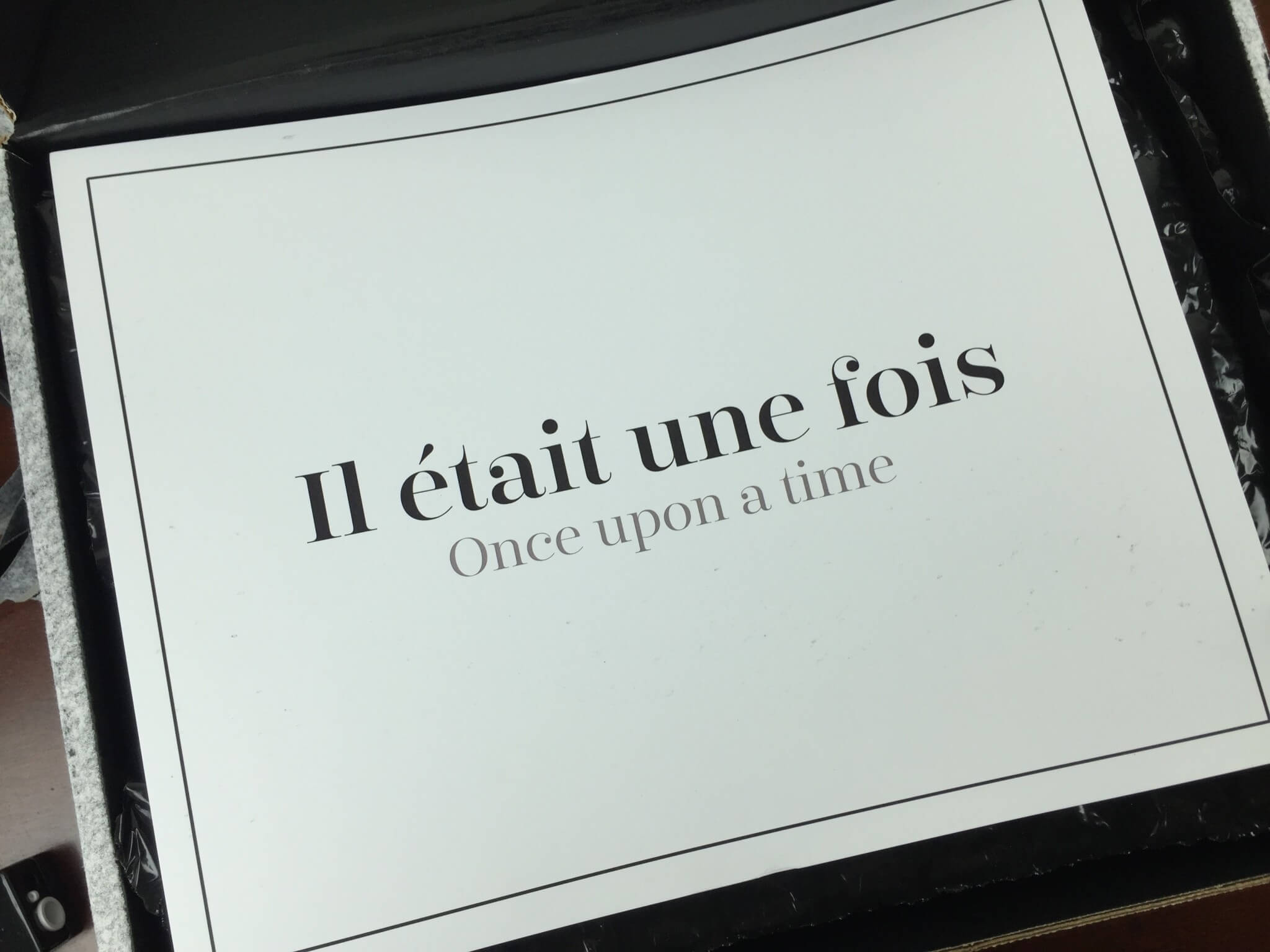 oui please november 1.5 2015 IMG_9926