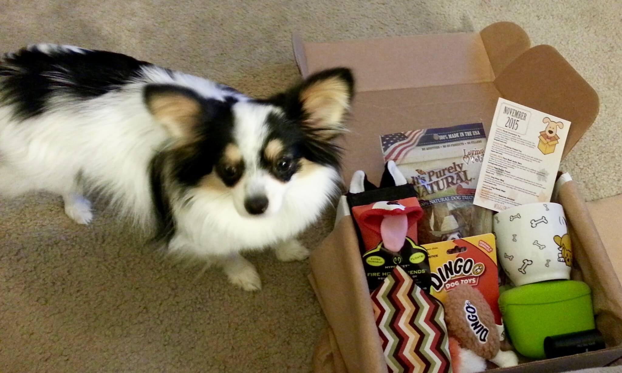 Wigglebutt Box Dog Subscription Box Review – November 2015