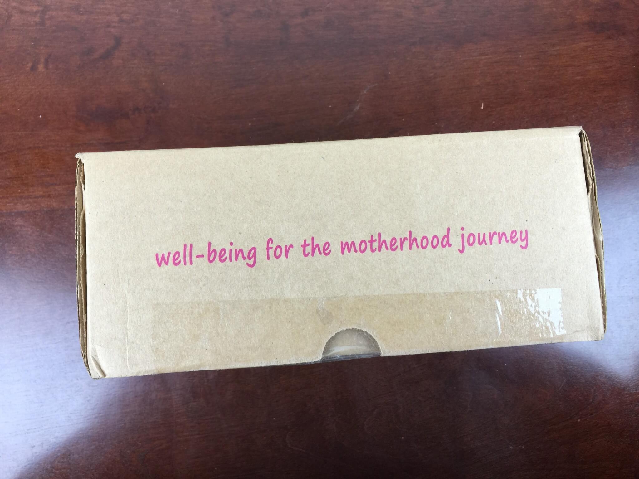 Ecocentric Mom Box November 2015 side