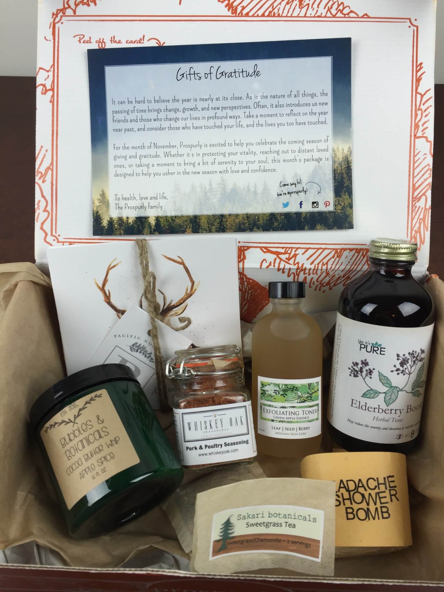 Prospurly November 2015 Subscription Box Review + Coupon