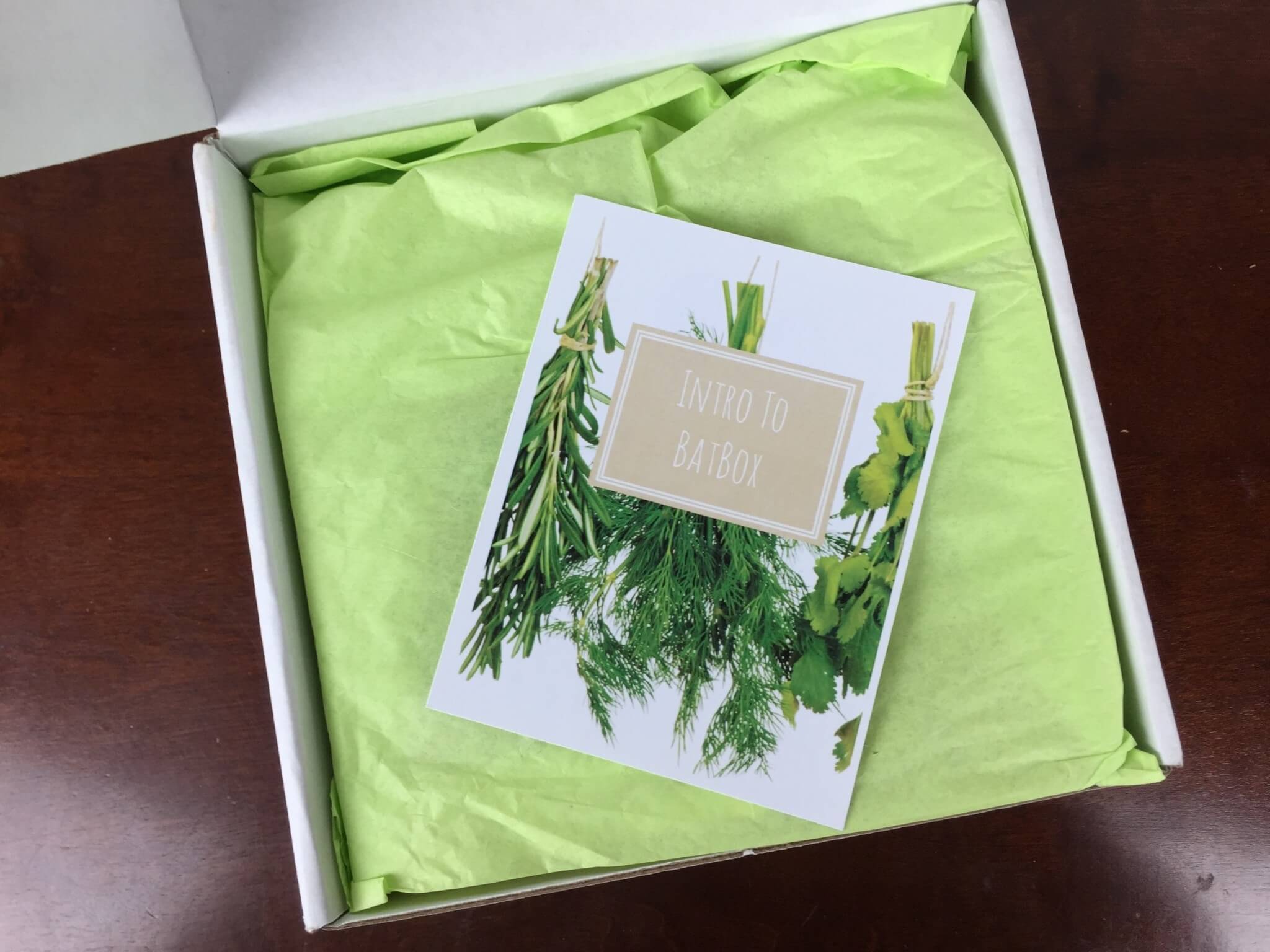 January 2016 Austin BatBox Subscription Box Review & Coupon
