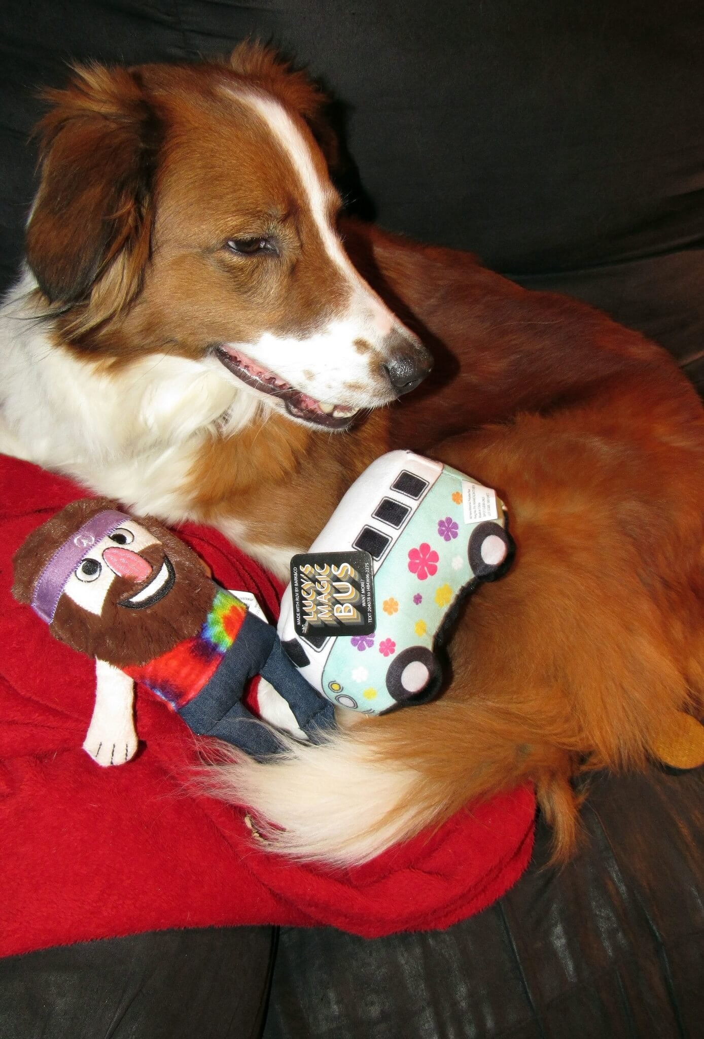 Sitting in the recliner with her babies