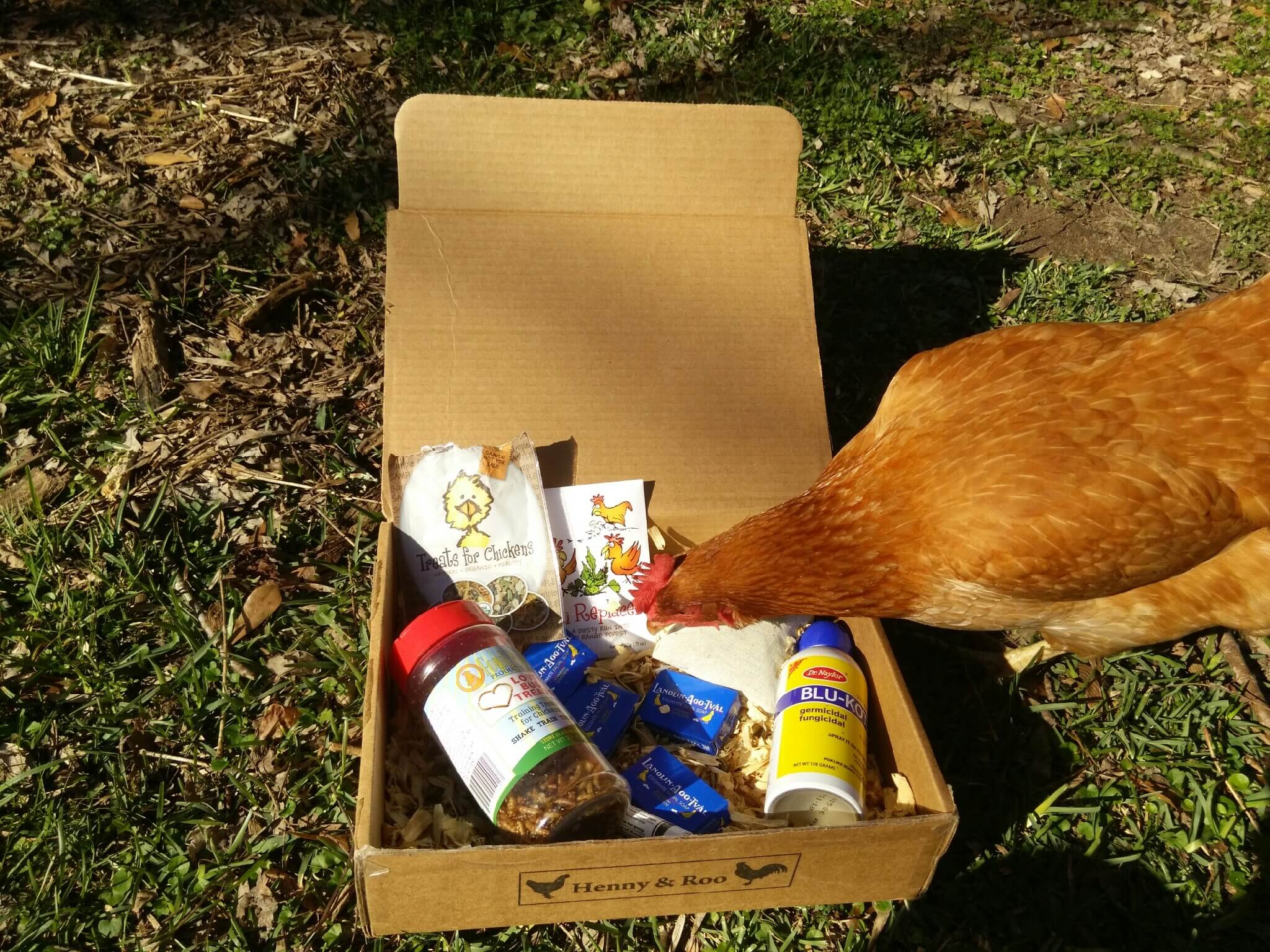 Henny & Roo Subscription Box Review & Coupon – January 2016