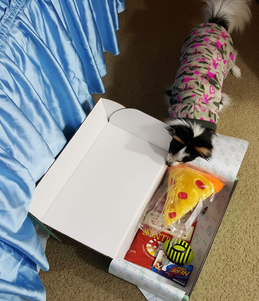 pawpack january 2016 20160205_210937