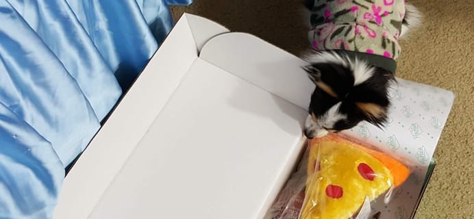 PawPack Dog Subscription Box Review & Coupon – January 2016