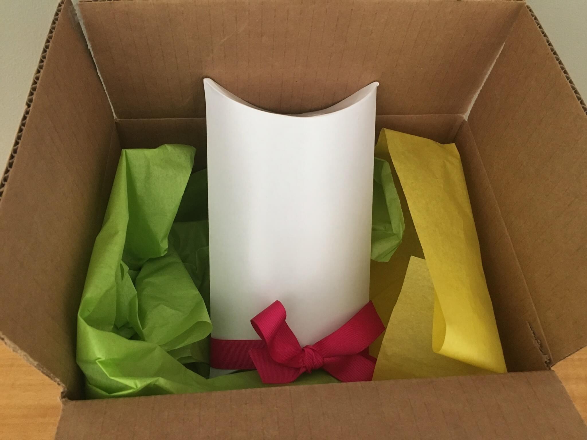 Periwinkle Girls’ Earring Subscription Review