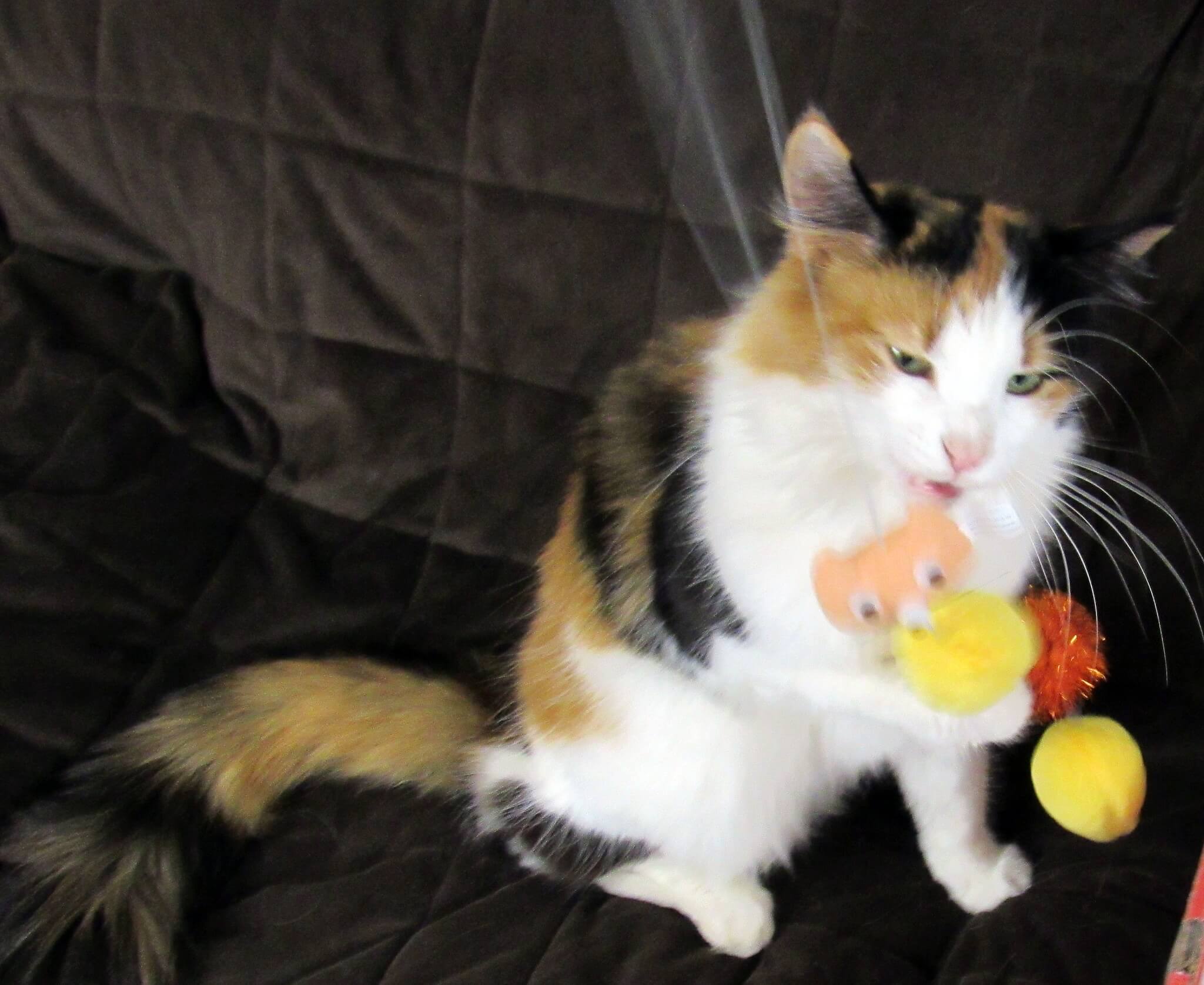 Zelda and the Caterpillar Wand