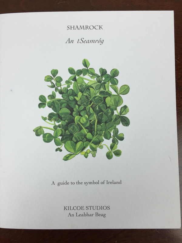 my Ireland box march 2016 IMG_7366