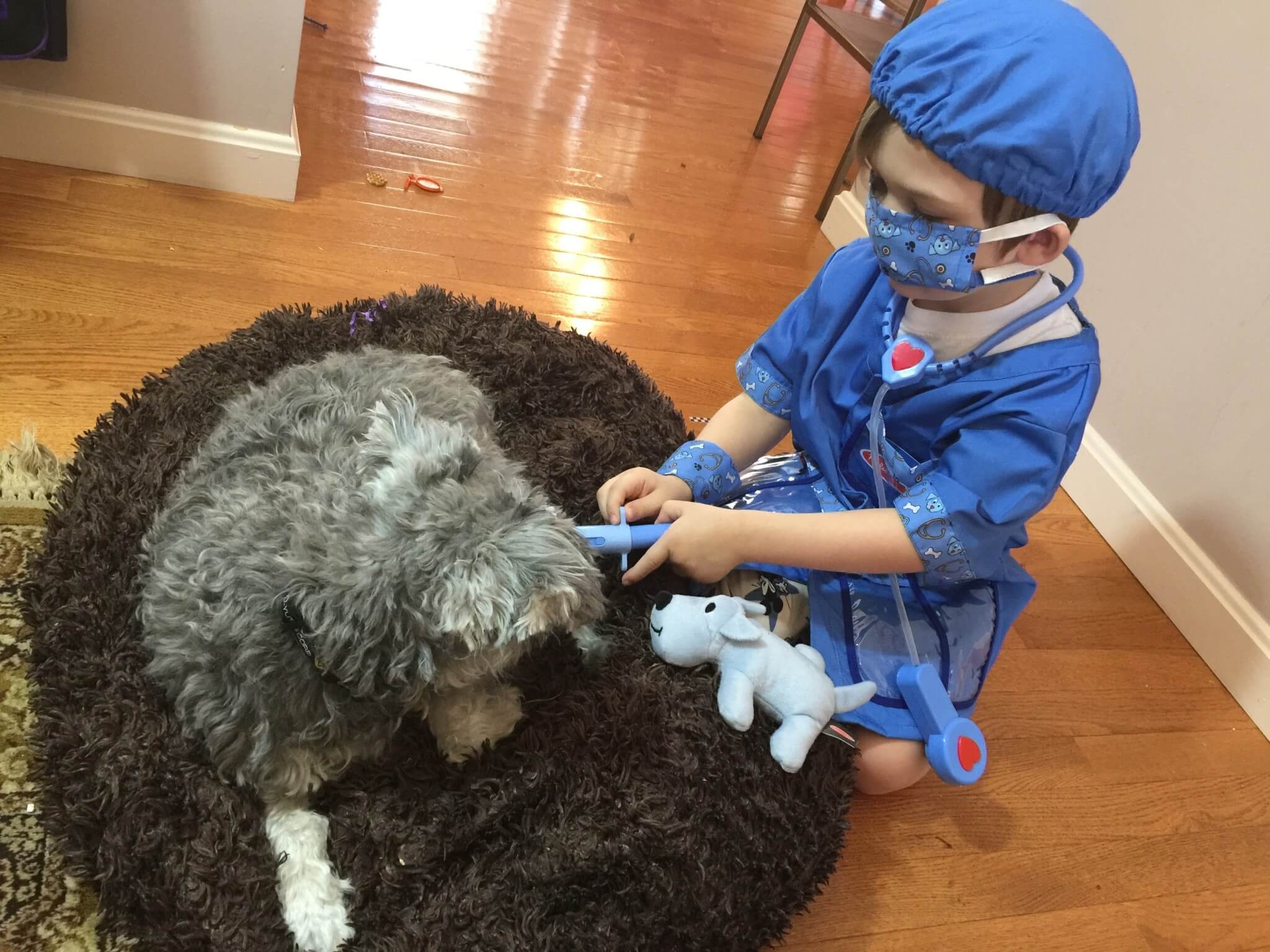 My Pretend Place Dress-Up Subscription Box Review & Coupon – Veterinarian Box!