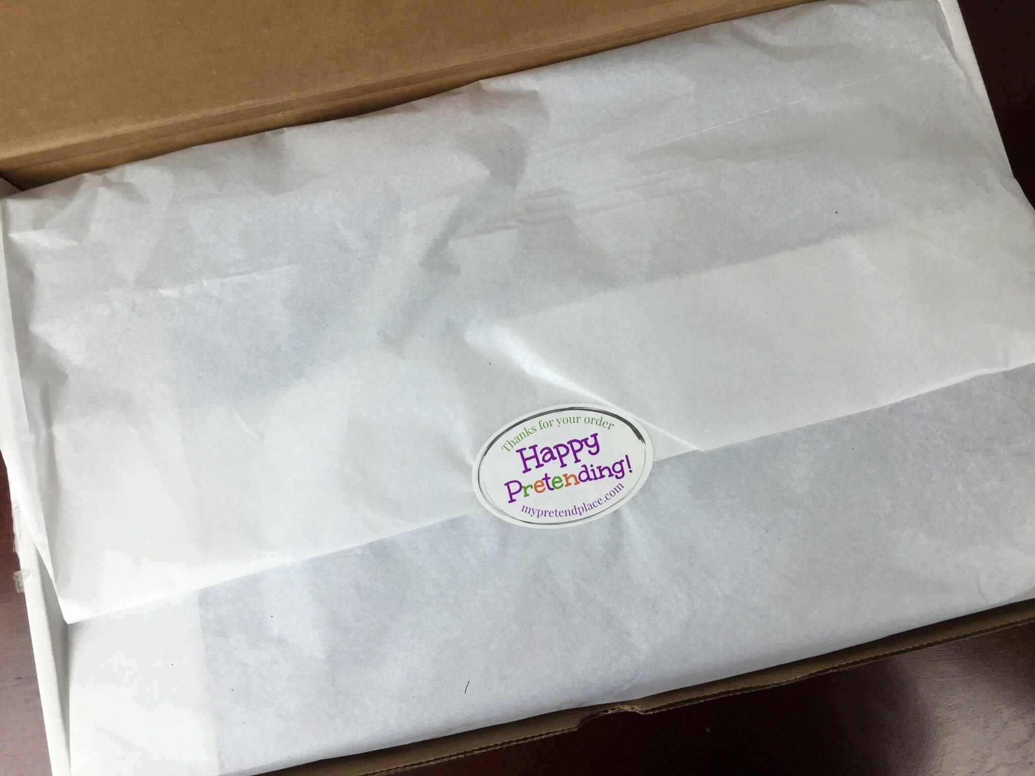 my pretend place dress up box veterinarian 2016 IMG_6826