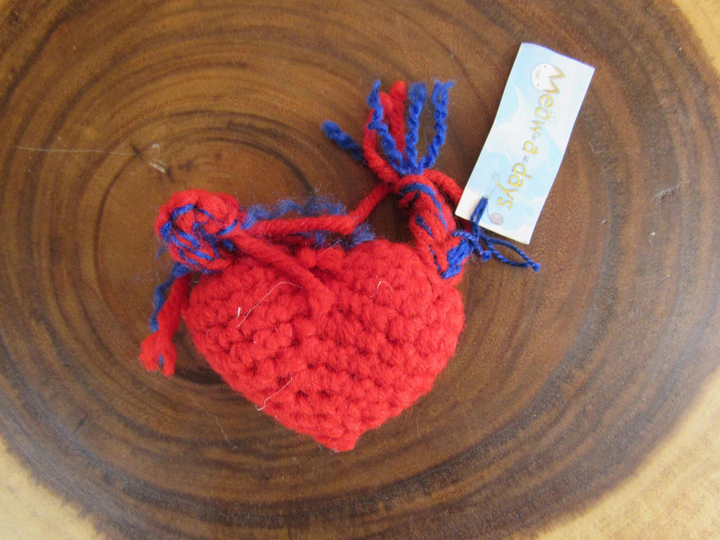 Anatomical Heart Toy