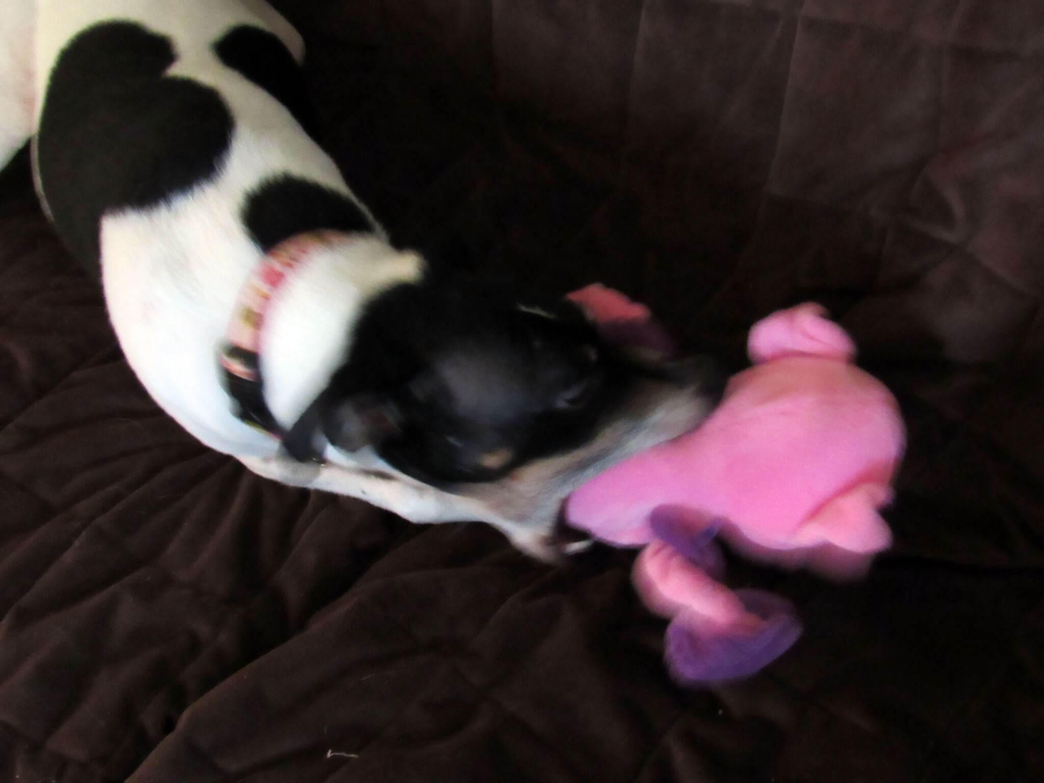Showing off her Ratter moves.