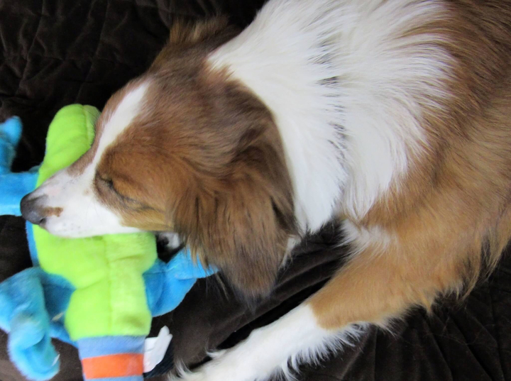 It's OK to Play!