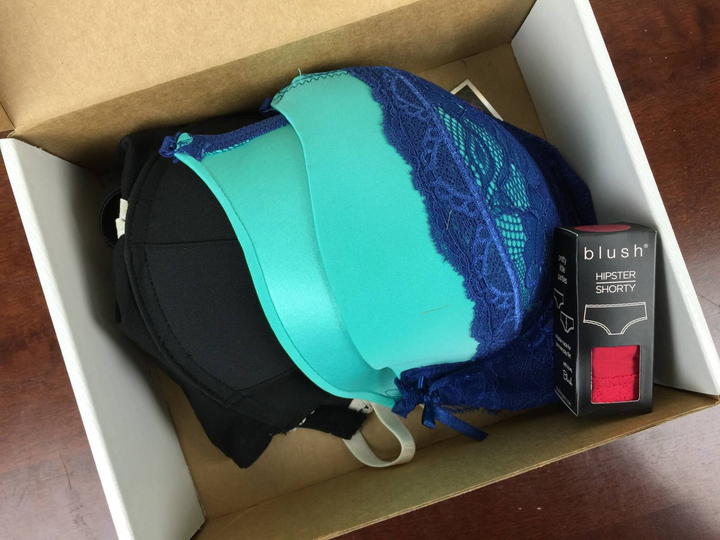 wantable intimates march 2016 review