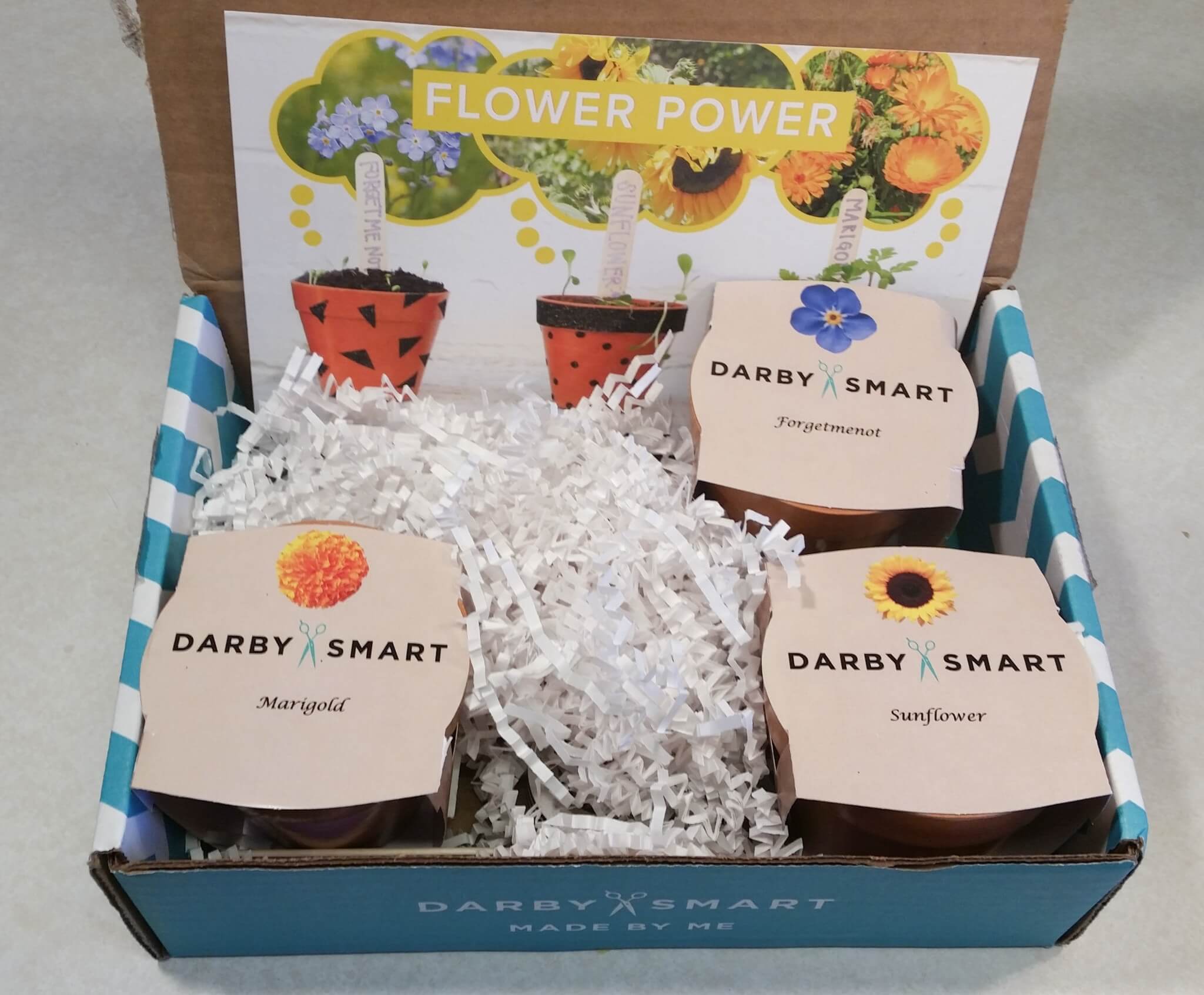 Darby Girl Subscription Box Review & Coupon – February 2016